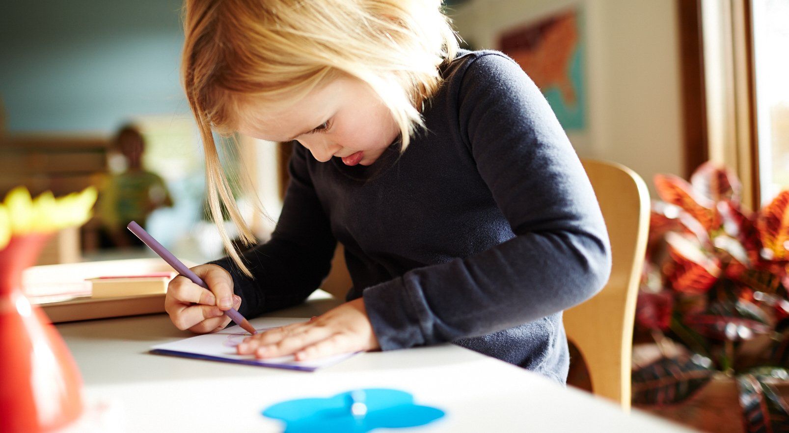 Chesterfield Montessori School Inc logo