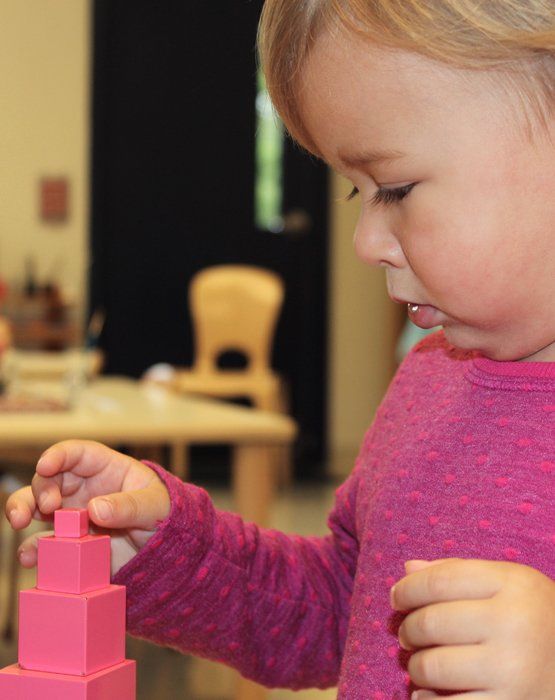 Montessori child working with the pink tower