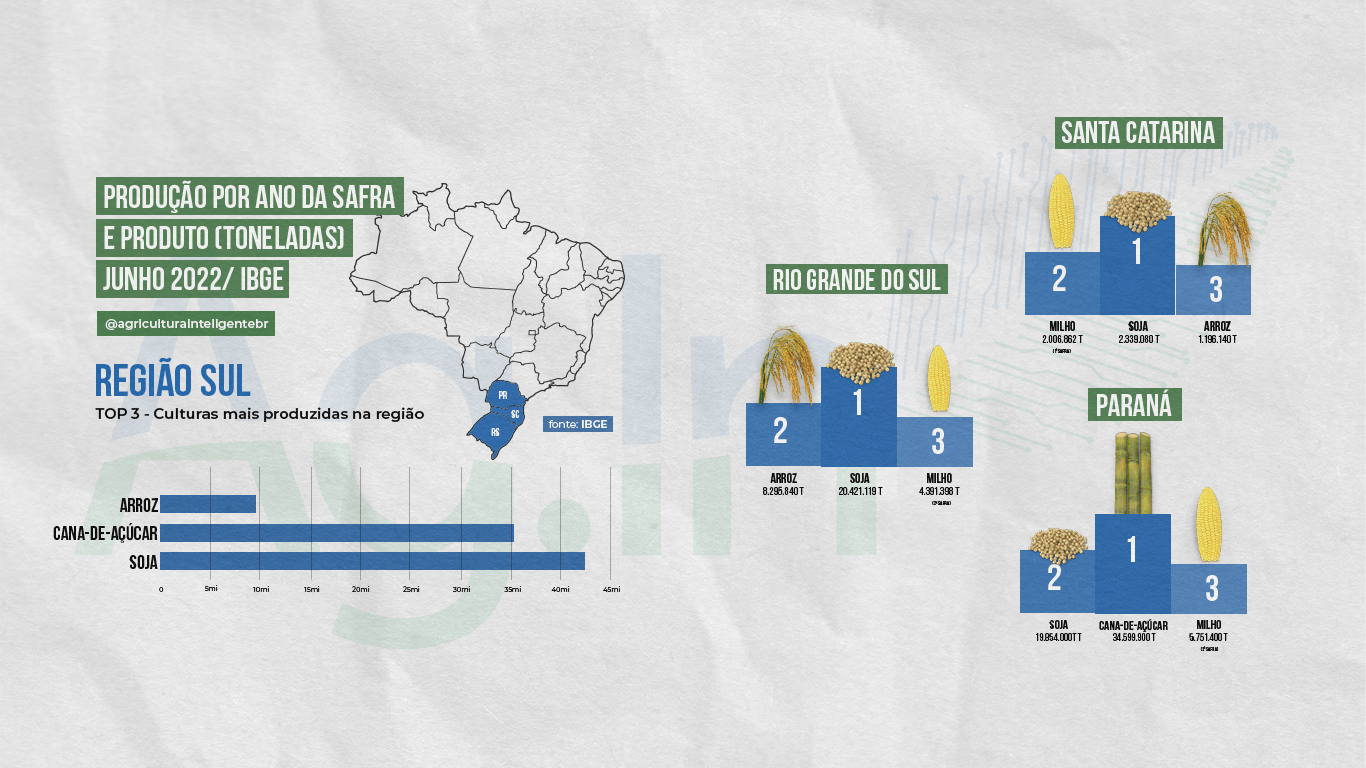 produção agricola brasileira - região sul