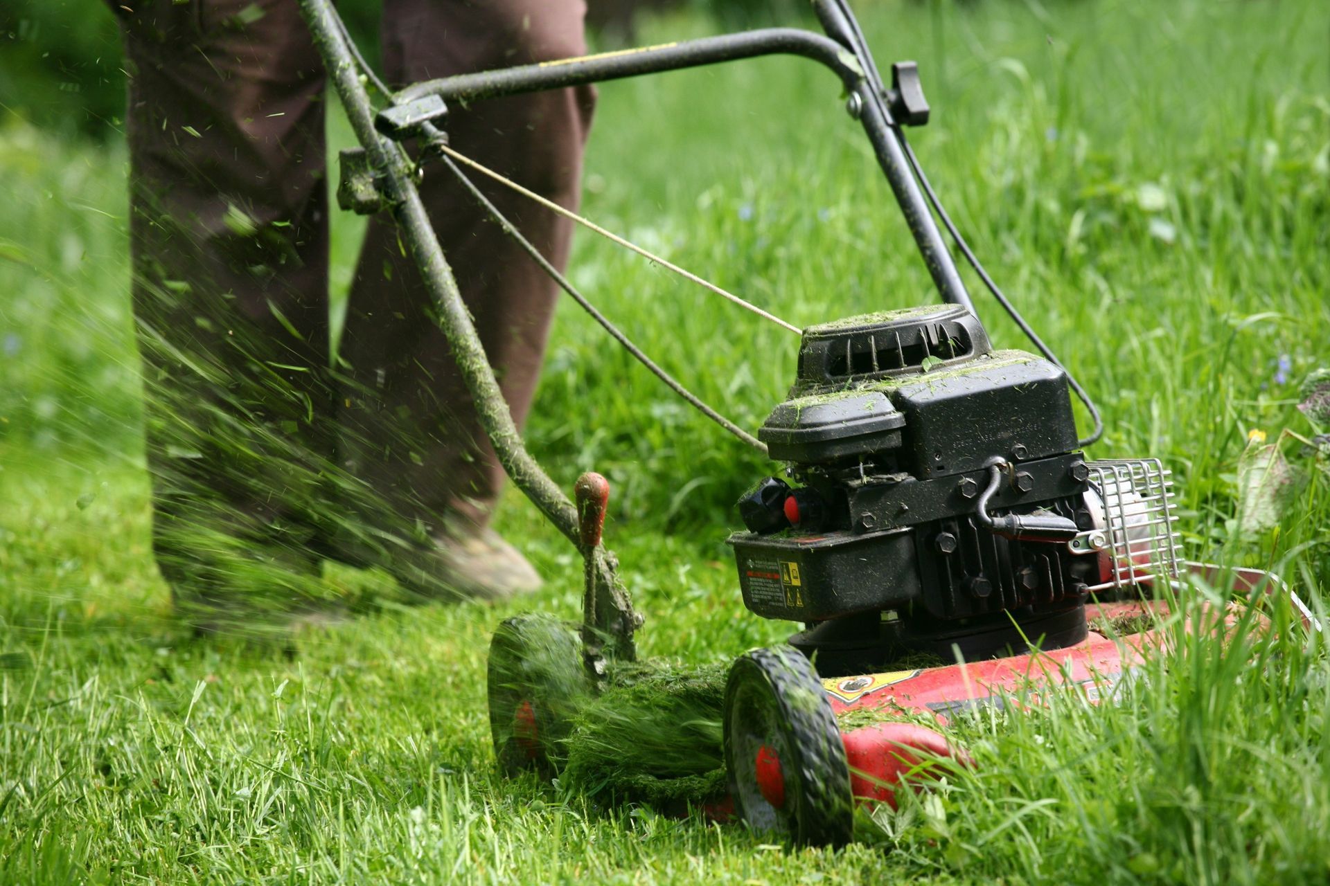 Person mowing a lawn with a red and black lawnmower, grass clippings flying, outdoors.