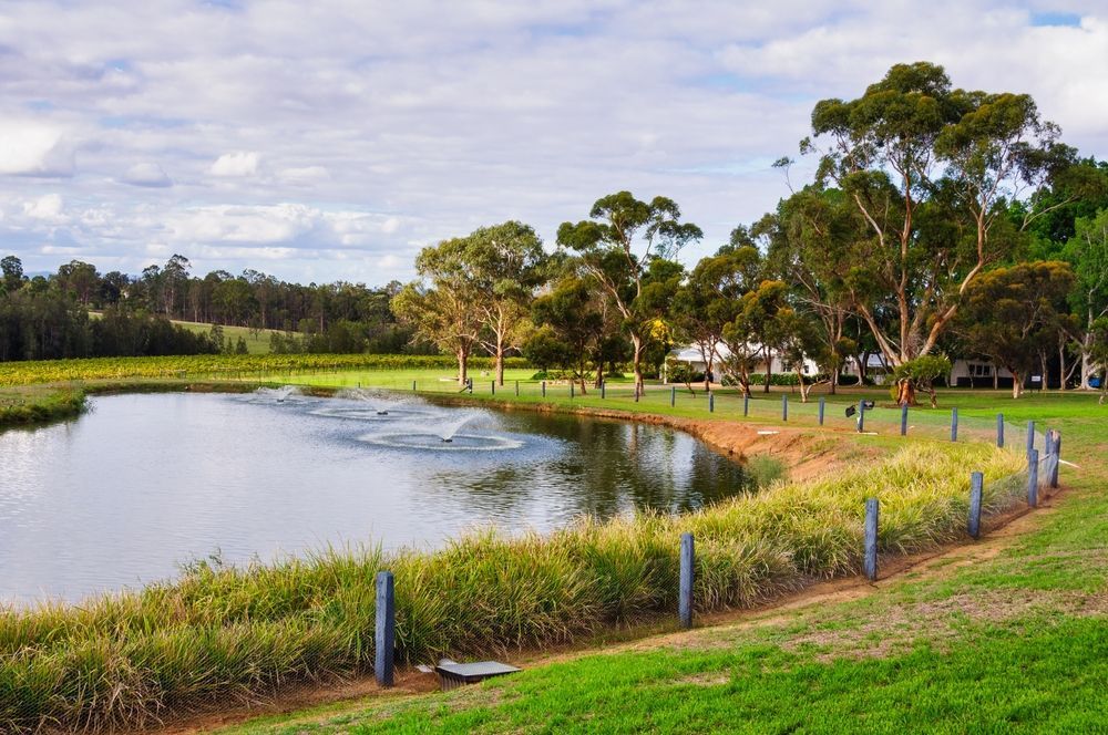 A Small Pond Surrounded by Grass and Trees in a Park — MPE Adventure Quads & Bikes In Pokolbin, NSW