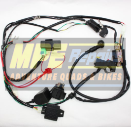 Wiring Harness for a Small Engine With a Coil — MPE Adventure Quads & Bikes In Thornton, NSW
