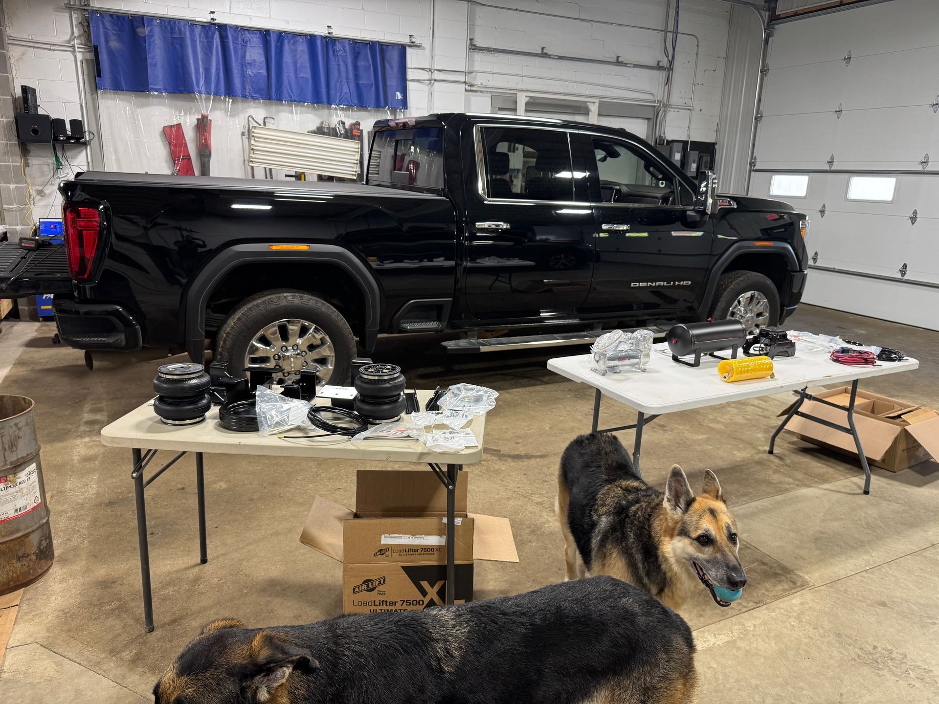 Black pickup truck in garage with parts on tables, two dogs nearby.