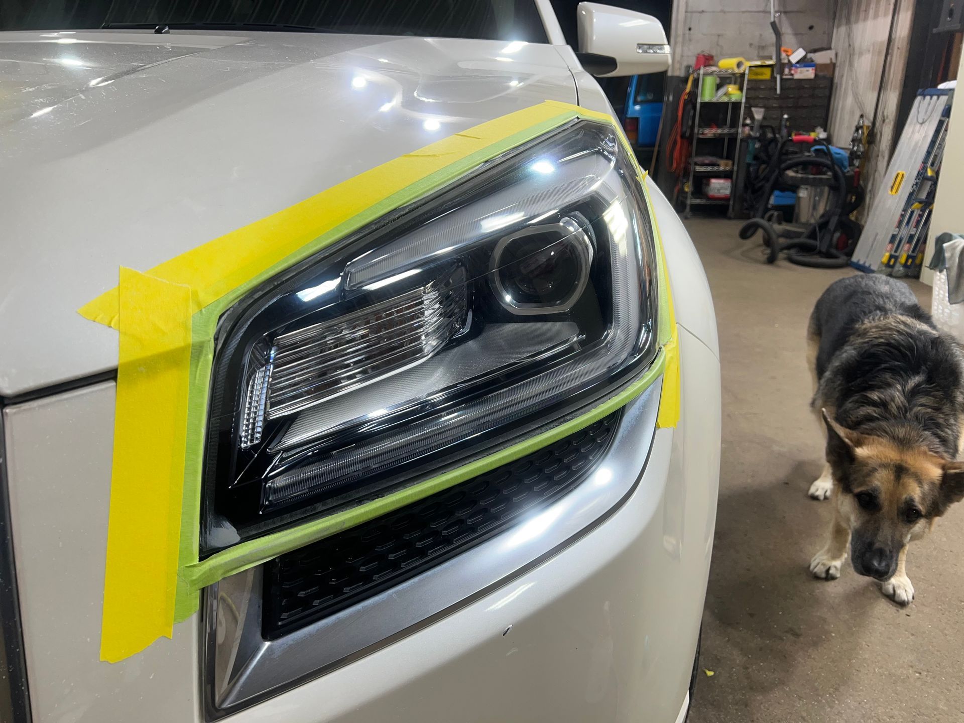A dog is standing next to a white car with yellow tape on the headlight.