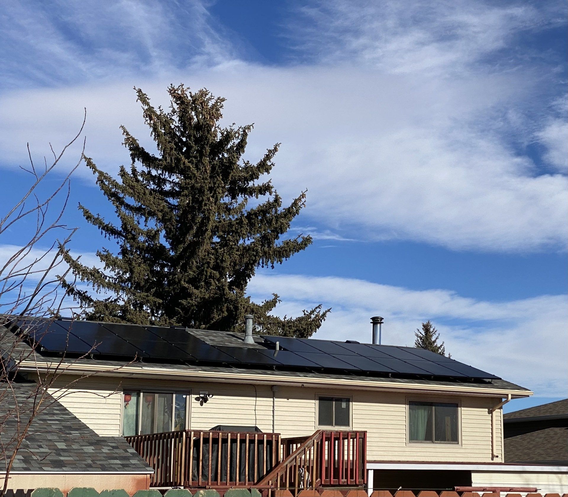 Solar Panel On The Roof With Tree — Cheyenne, WY — The Electric & Solar Specialist