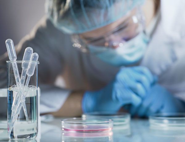 LABORATORIO DE PATOLOGÍA CELPAT