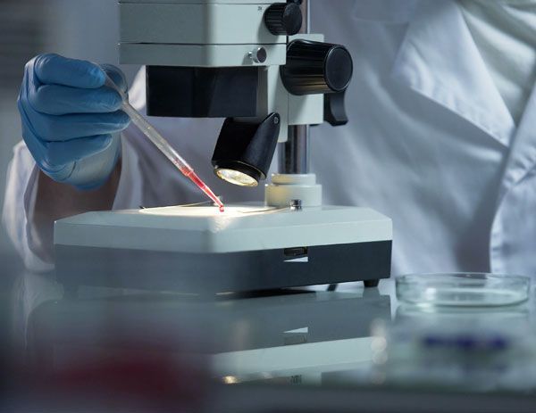 LABORATORIO DE PATOLOGÍA CELPAT