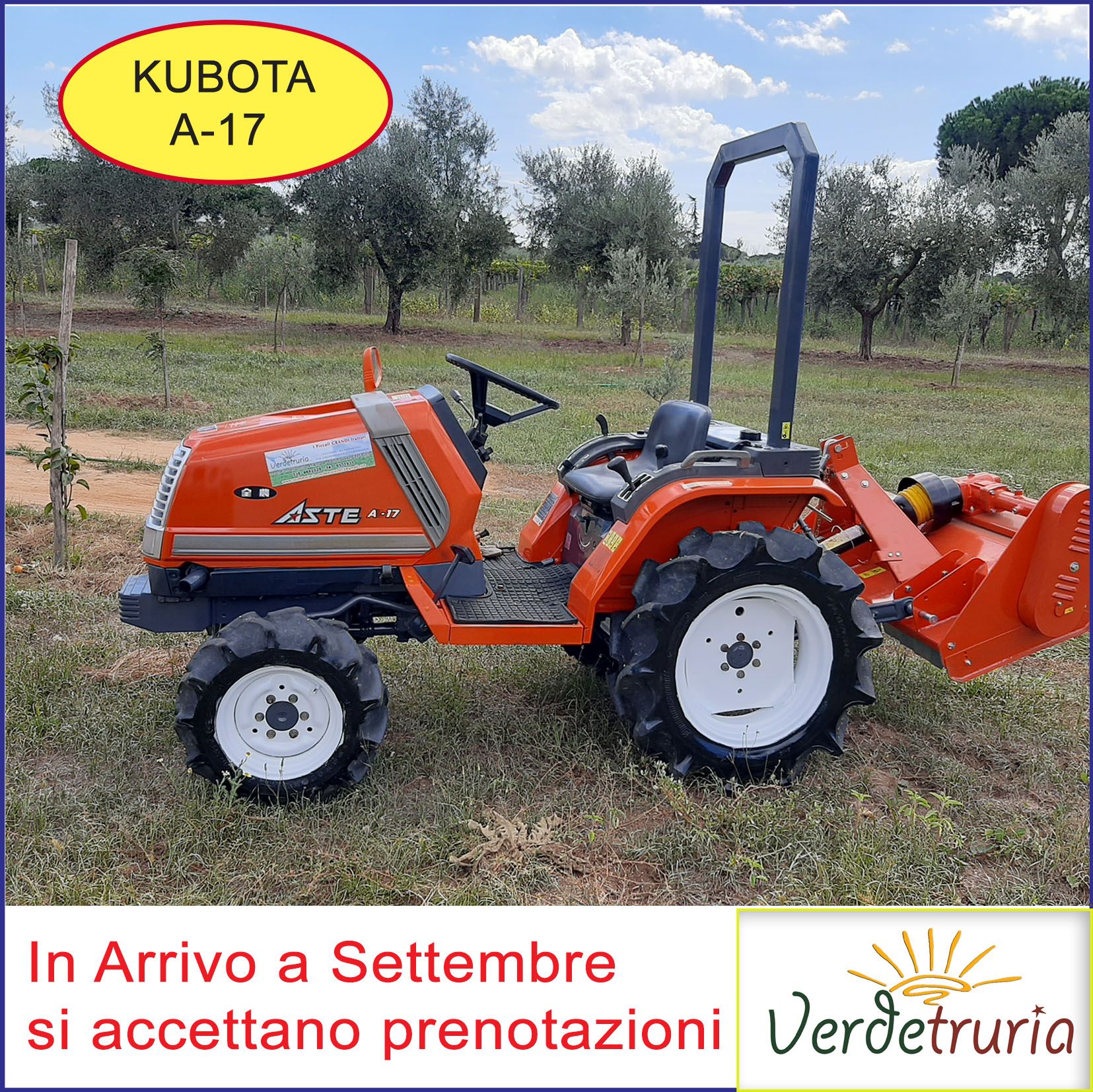 Trattore Usato Kubota Aste A-17
