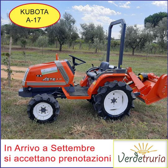 Trattore Usato Kubota Aste A-17