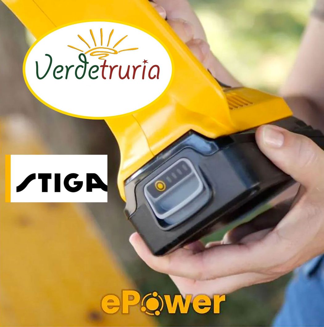 Cesoia e sega da potatura a batteria PR 100e Kit