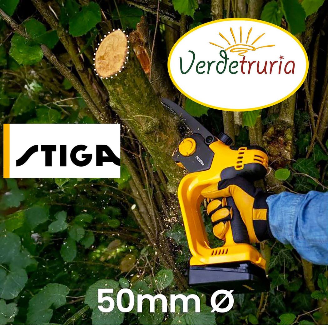 Cesoia e sega da potatura a batteria PR 100e Kit