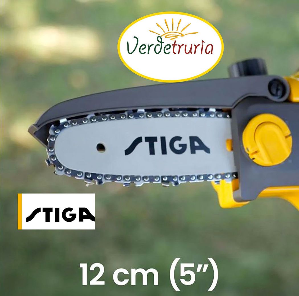 Cesoia e sega da potatura a batteria PR 100e Kit