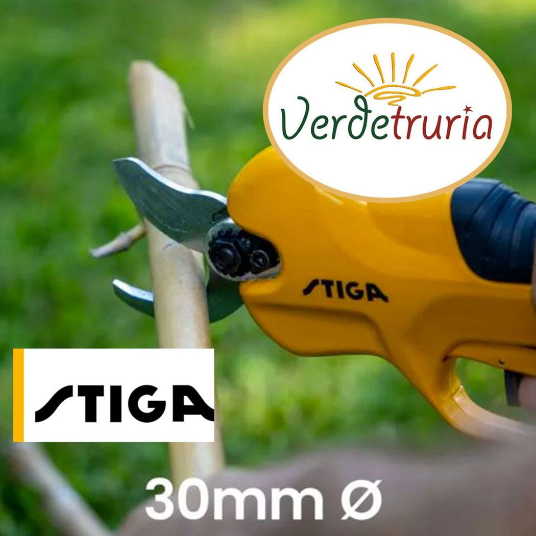 Cesoia e sega da potatura a batteria SC 100e Kit