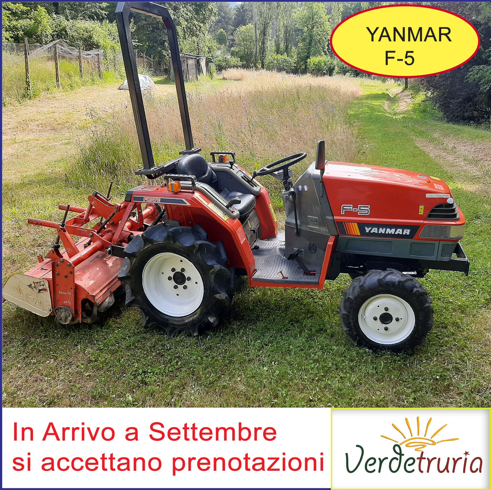 Trattore UsatoYanmar F5