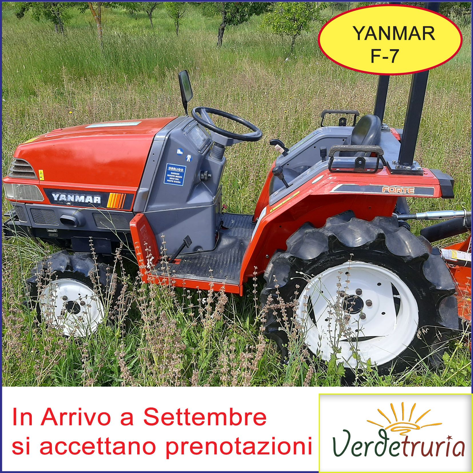 Trattore UsatoYanmar F7