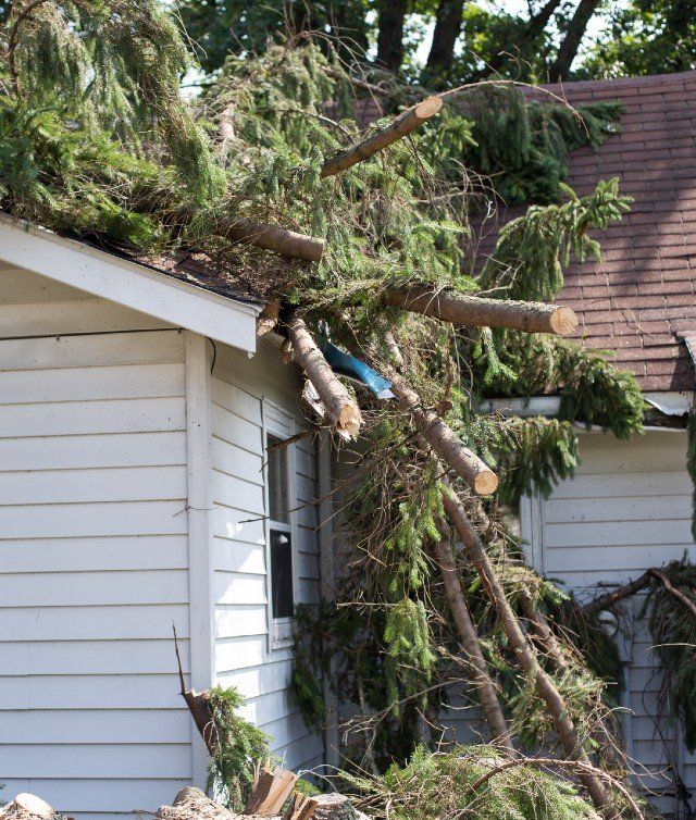 storm damage repair services in Germantown, MD