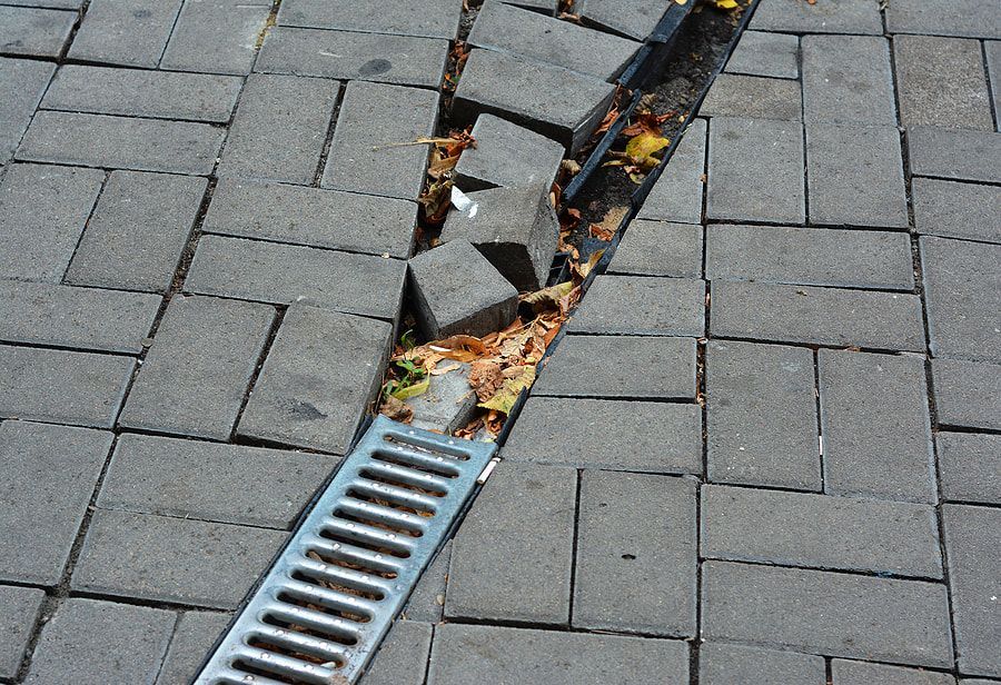 fallen leaves in the water drainage