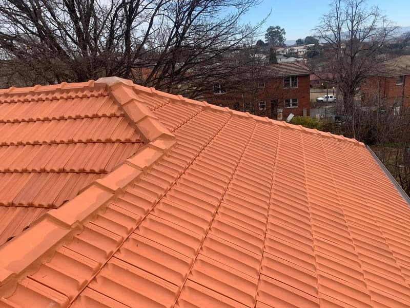 Tile Roof Painting - Roof Tiling In Orange, NSW
