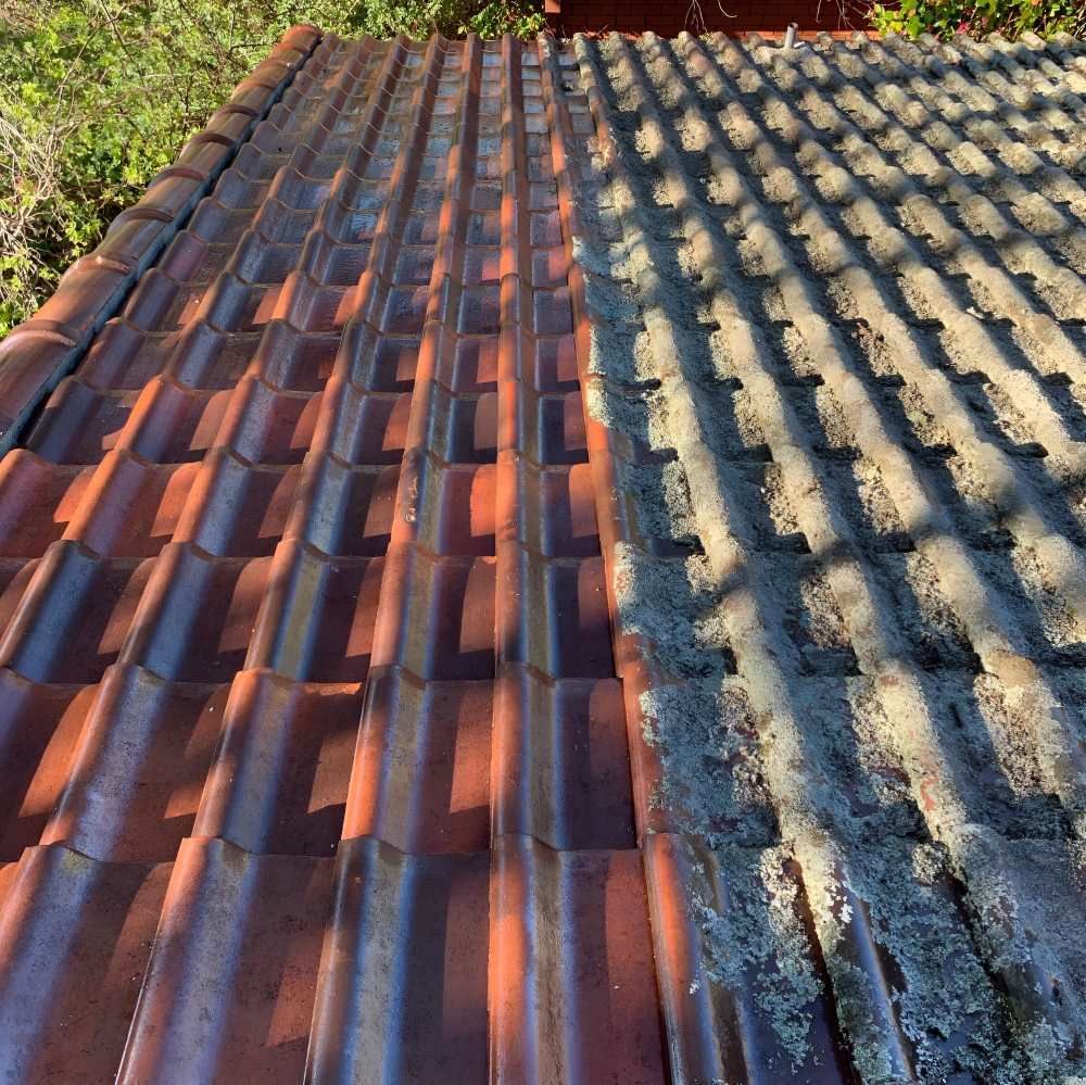 A picture of a roof before and after being cleaned.