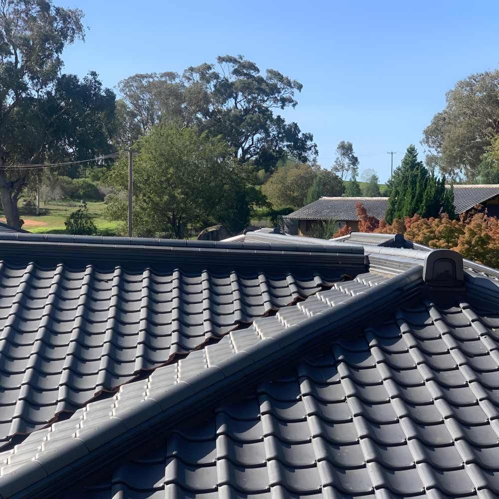 A Roof With A Lot Of Tiles And Trees In The Background — Lance Ward Roof Tiling in Orange, NSW