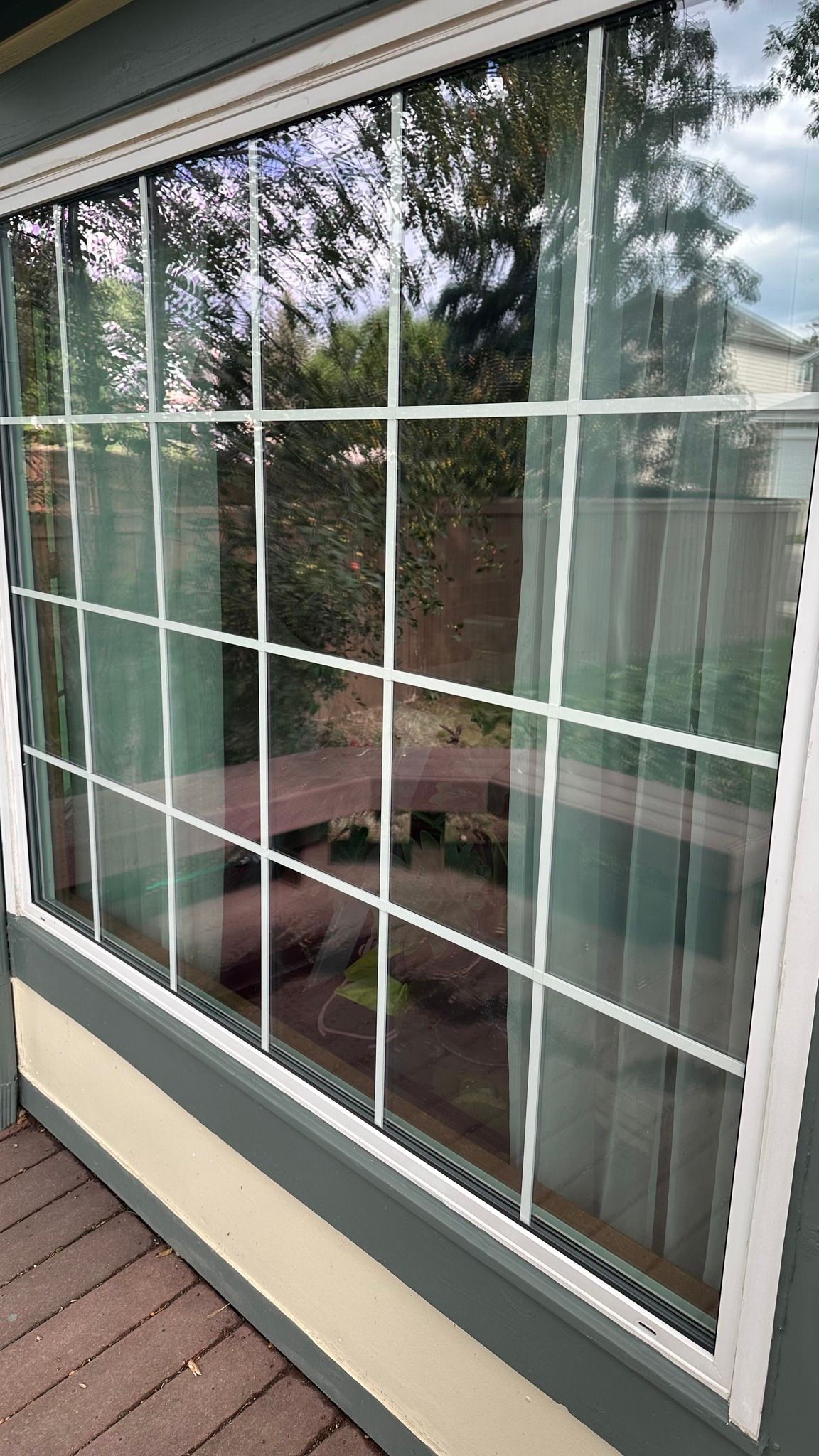 A close up of a window with a reflection of trees in it.