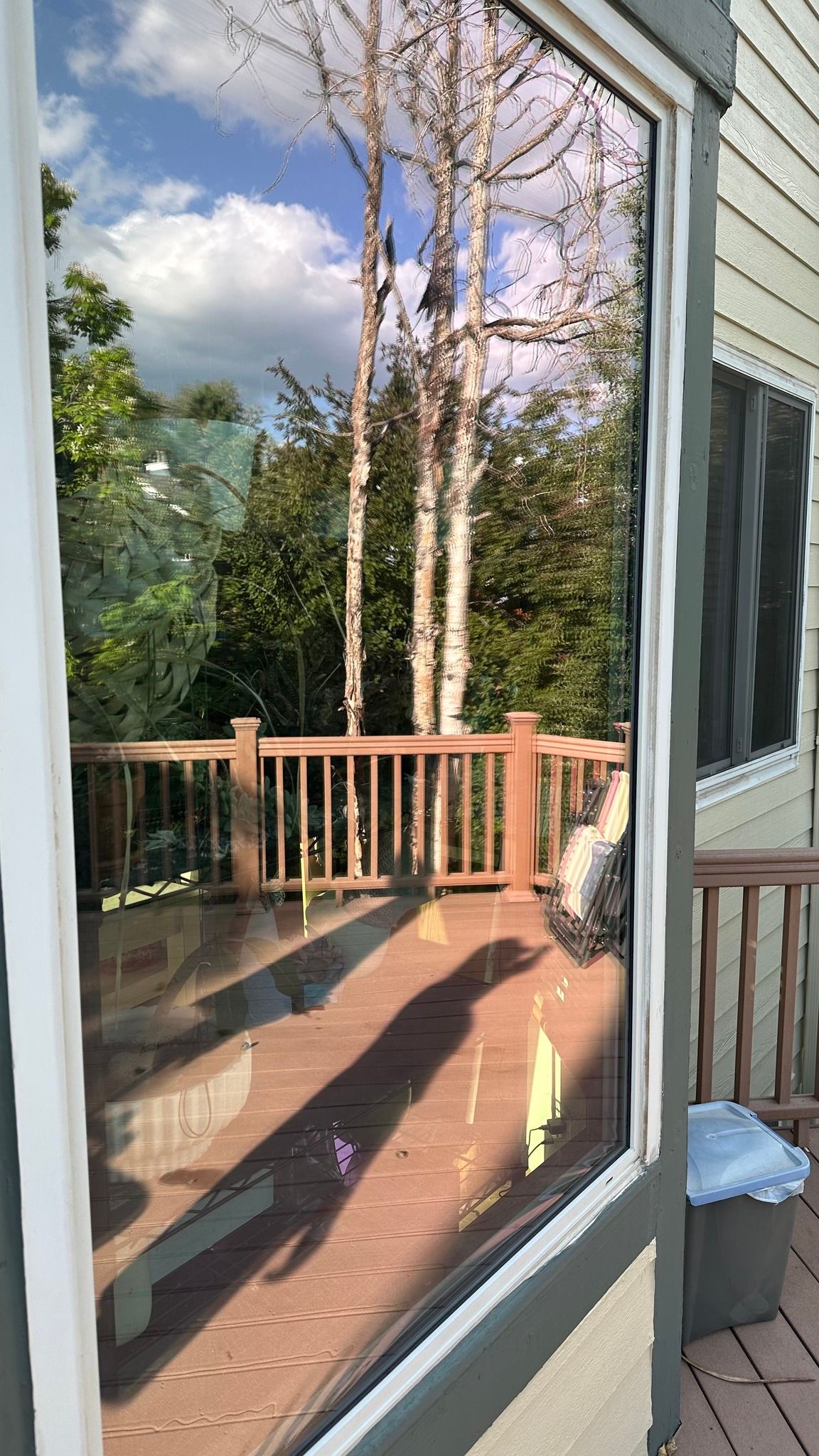 A reflection of a deck and trees in a window.