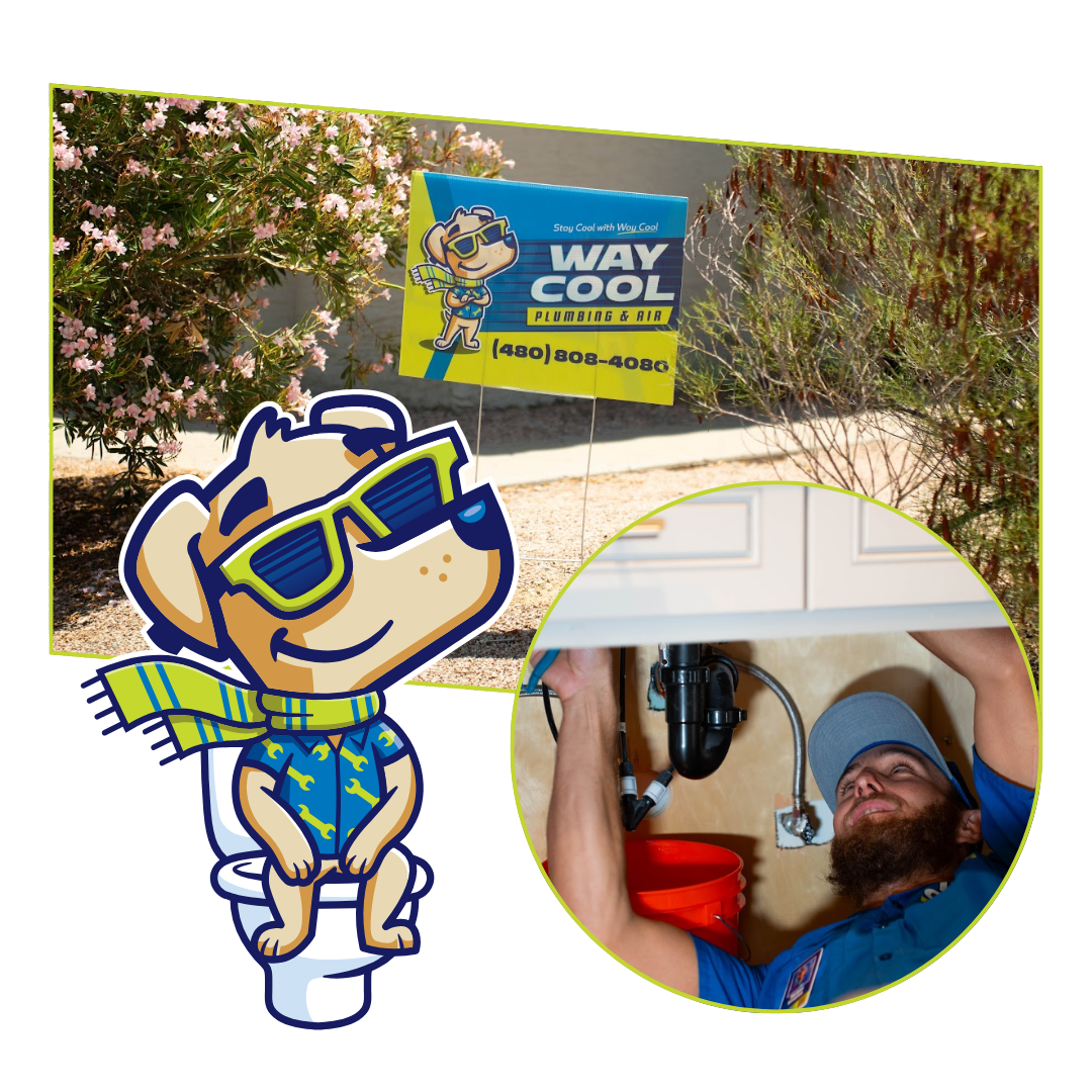 A cartoon dog wearing sunglasses is standing in front of a row of way cool vans.