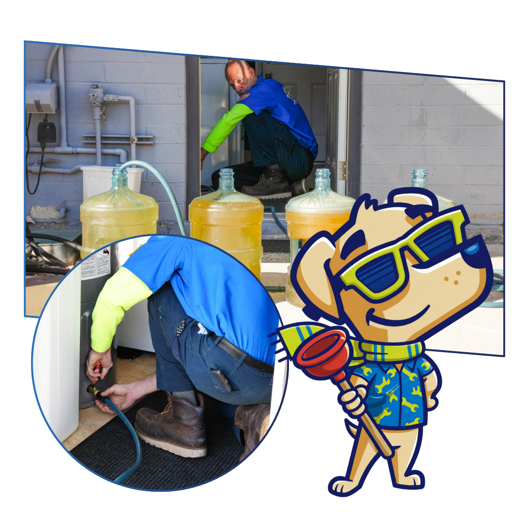 A cartoon dog wearing sunglasses is standing in front of a row of way cool vans.