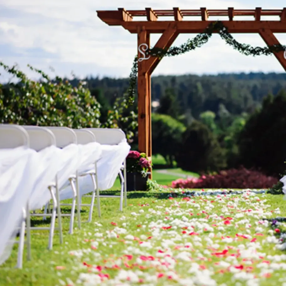 A row of white chairs under a pergola with petals on the ground