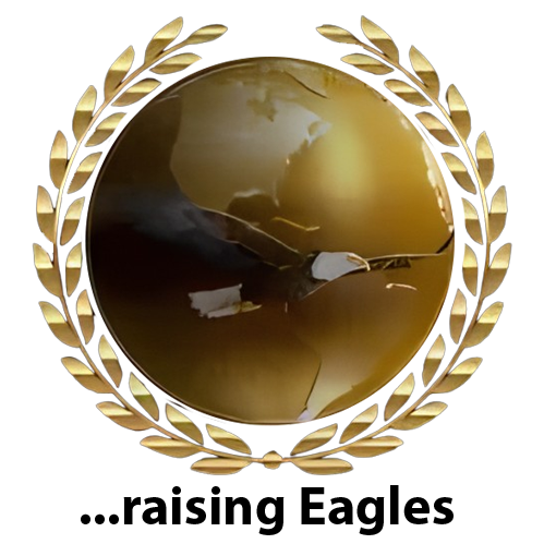 The Leadership Channel Institute