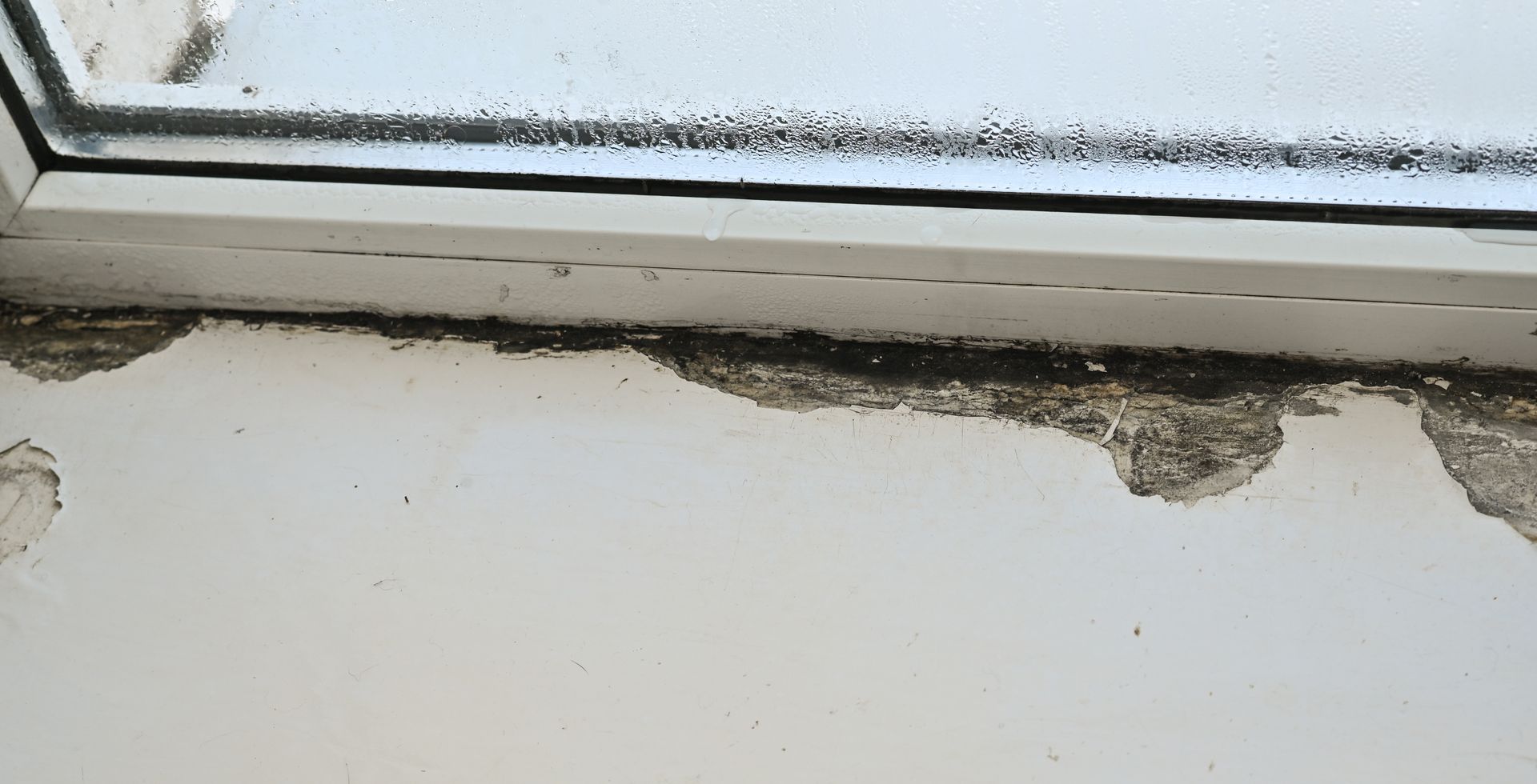 Window sill with peeling paint and mold along the bottom edge, condensation at top of window.