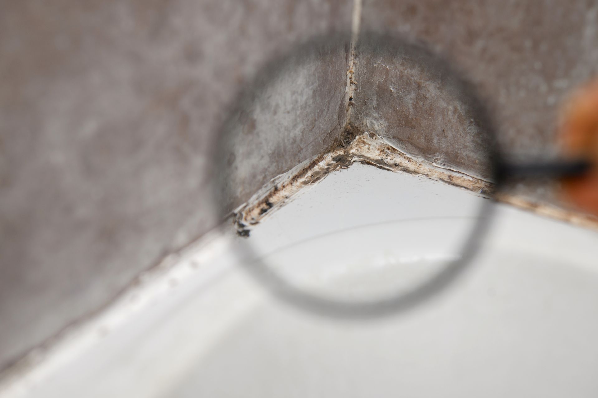 Magnifying glass focuses on black mold in bathroom tile grout.