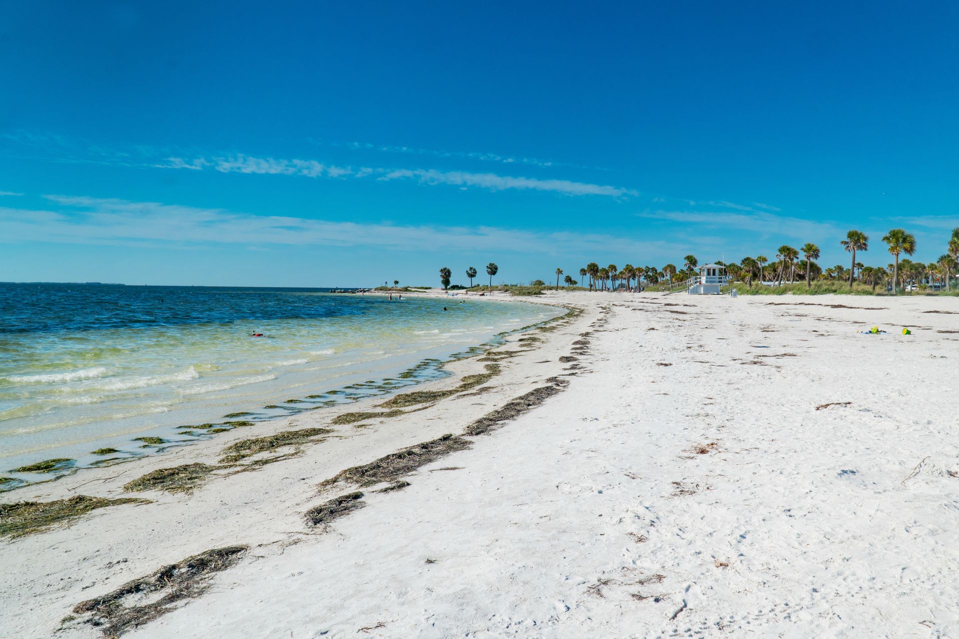 White sand beach under a bright blue sky. Gentle waves lap the shore; seaweed lines the sand. Palm trees dot the horizon.