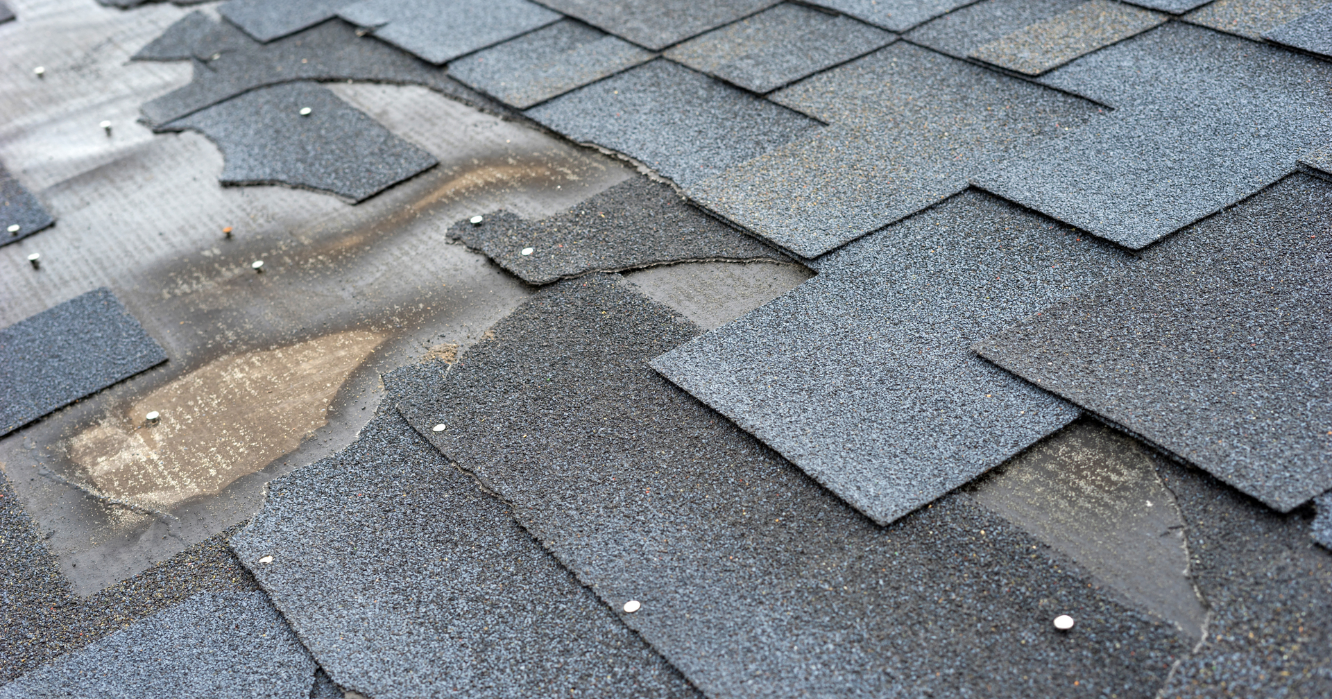 Protecting Your Home with Timely Roof Maintenance