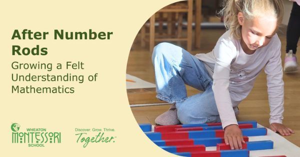 A child working with number rods on a mat. Text: After Number Rods: Growing a Felt Understanding of Mathematics.