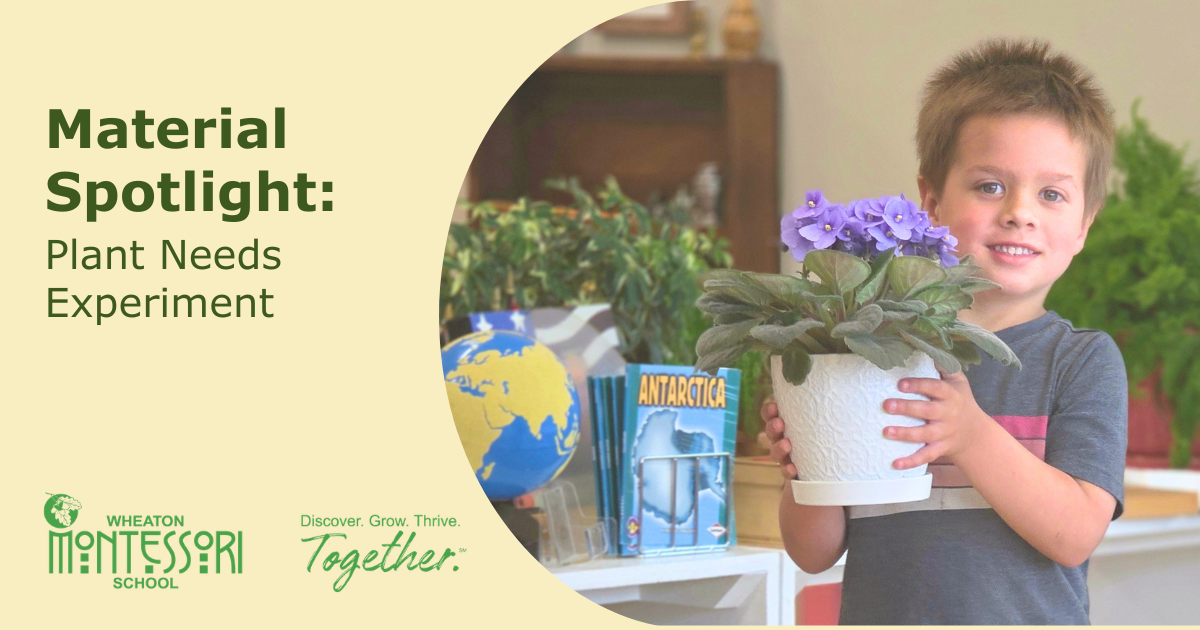 Boy holds potted plant beside seed packets in a garden learning display, with “Material Spotlight” text.
