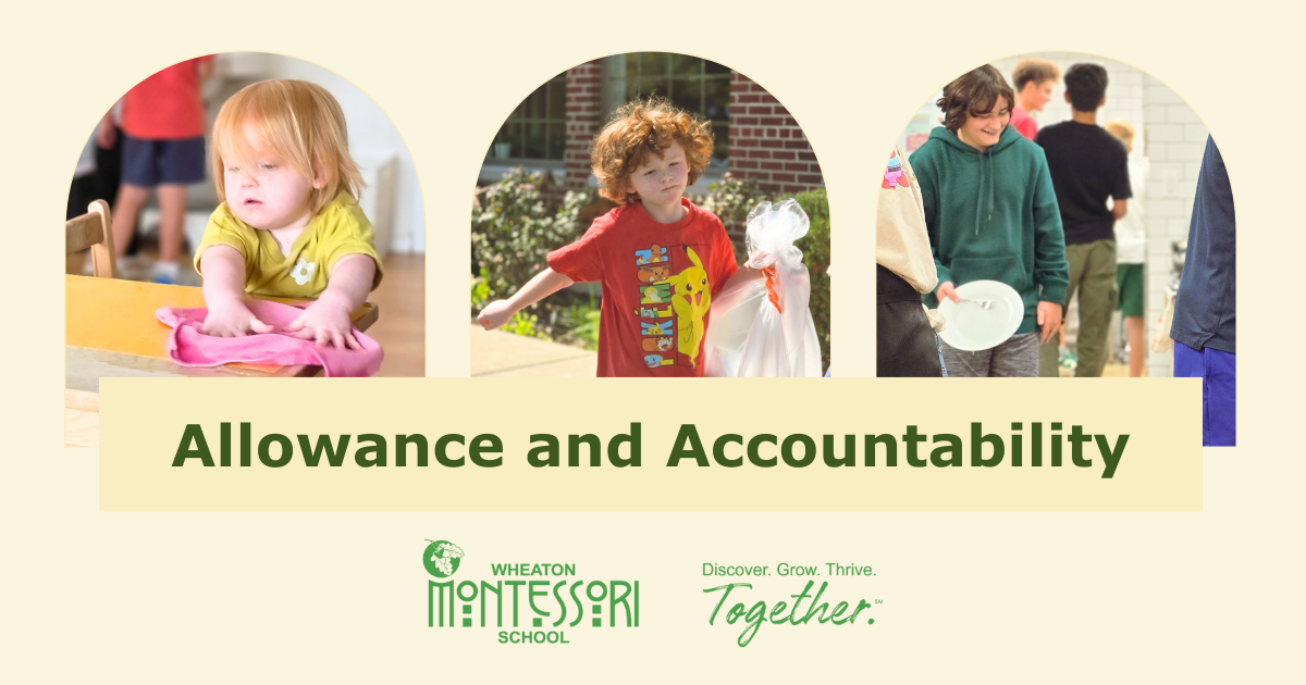 Allowance and Accountability