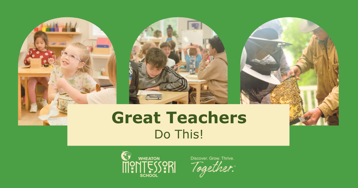 Great Teachers Do This!