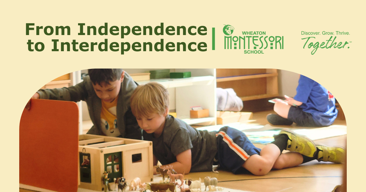 From Independence to Interdependence