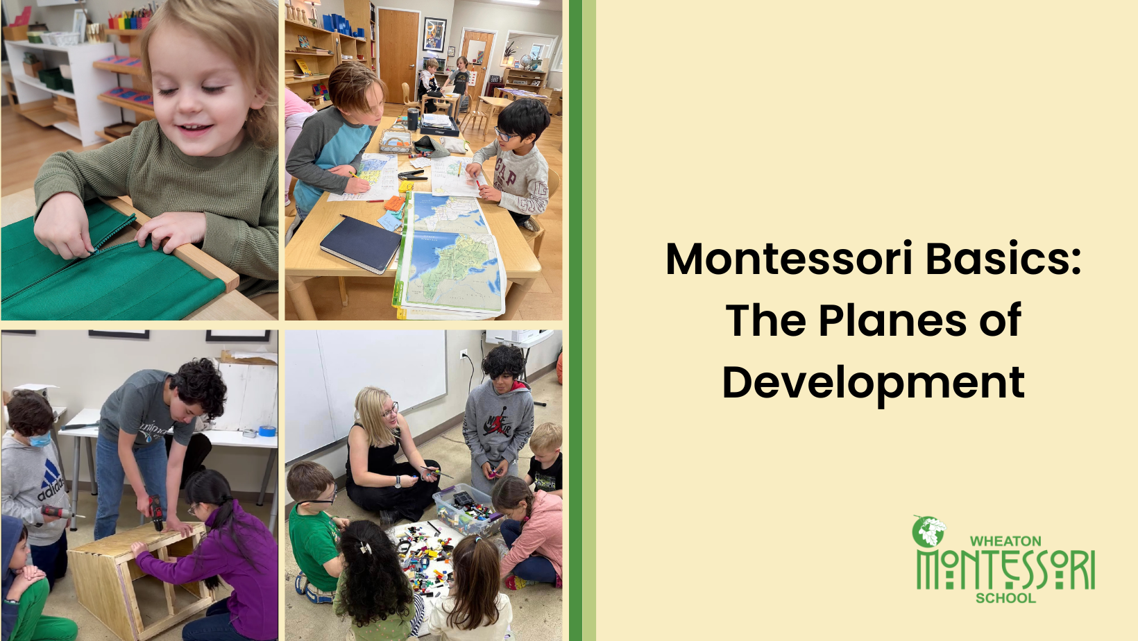 Montessori Basics: The Planes of Development