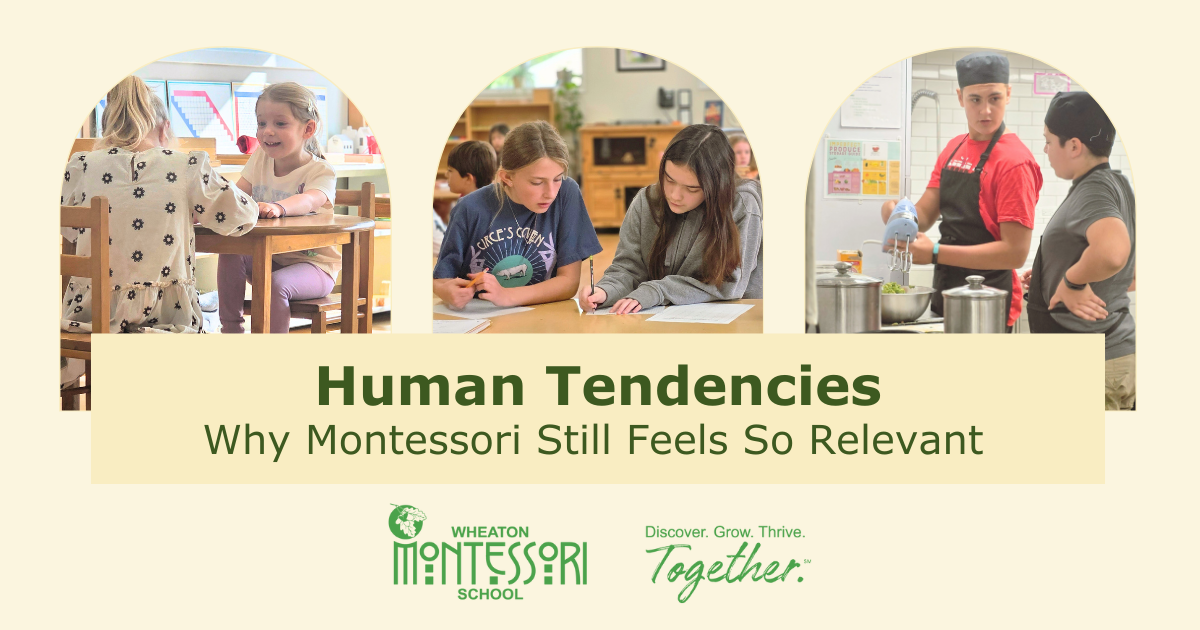 Human Tendencies: Why Montessori Still Feels So Relevant