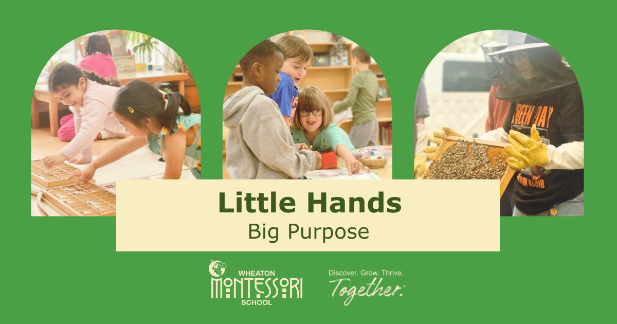 Little Hands, Big Purpose