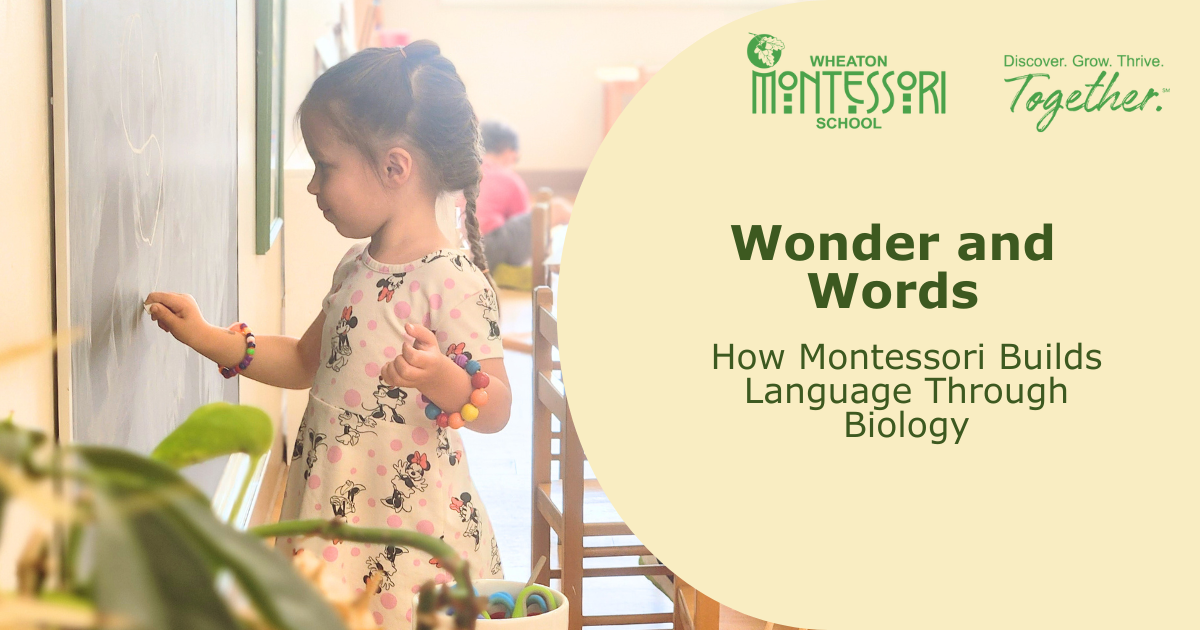 Wonder and Words: How Montessori Builds Language Through Biology
