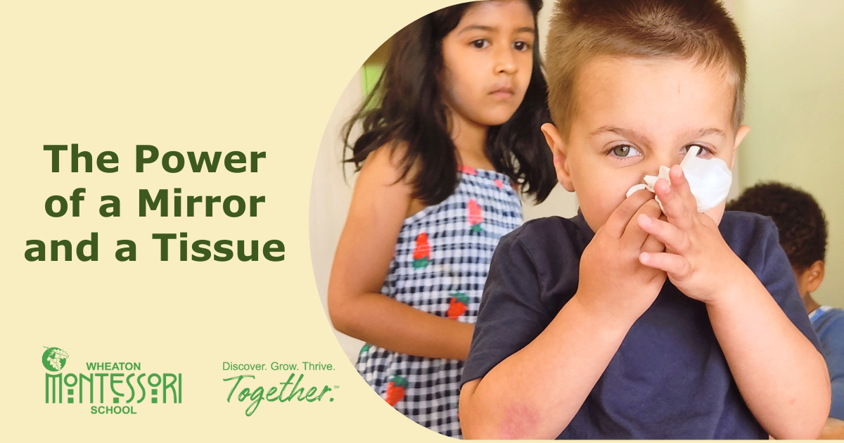 The Power of a Mirror and a Tissue