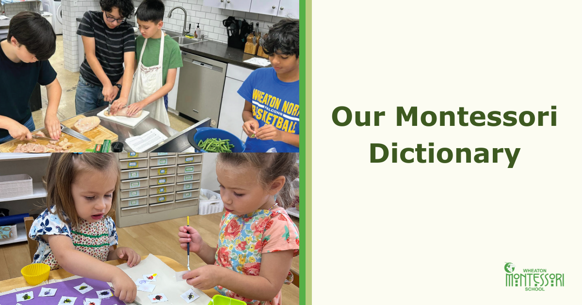 Our Montessori Dictionary