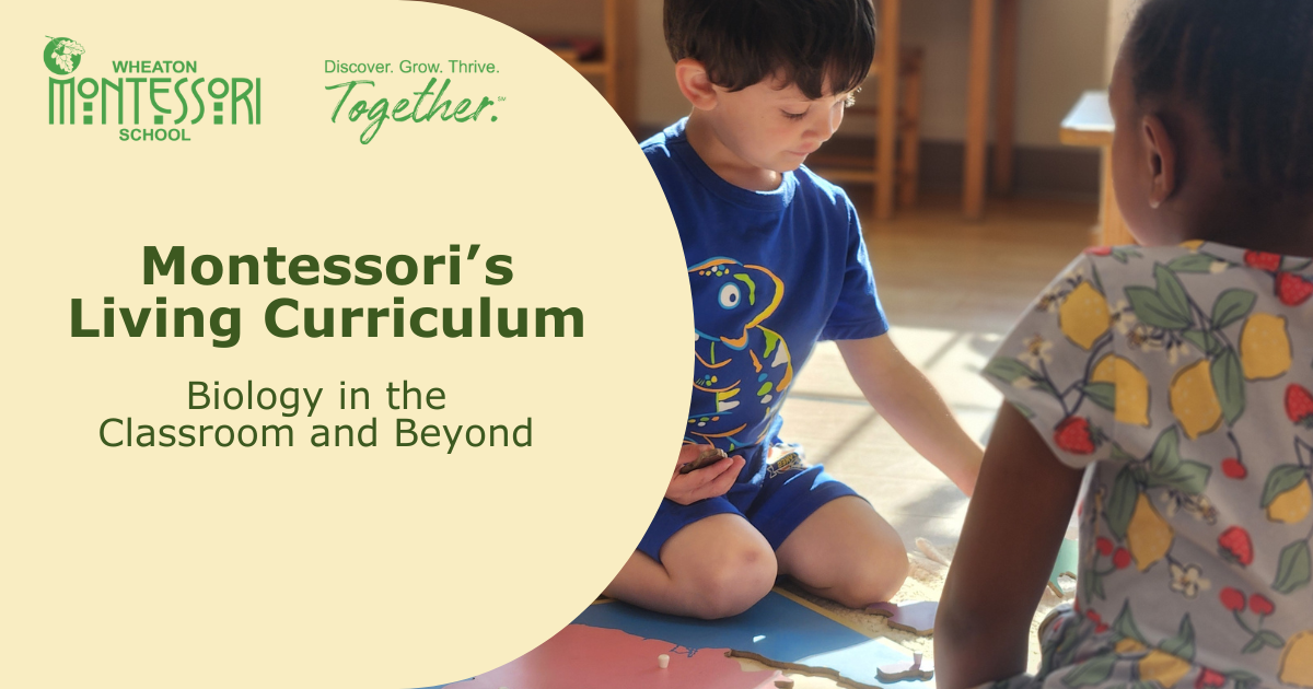 Montessori’s Living Curriculum: Biology in the Classroom & Beyond
