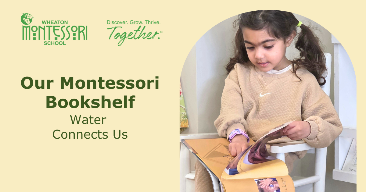 A young girl reading a book, seated in front of a neutral-colored background.