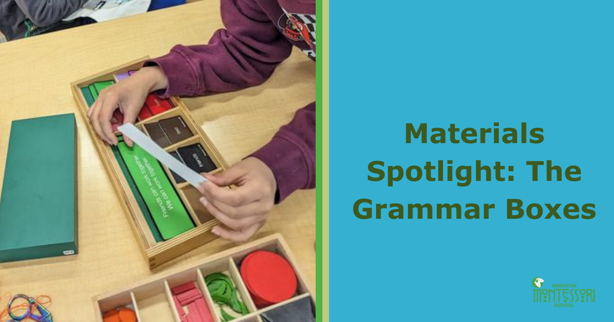 Materials Spotlight: The Grammar Boxes