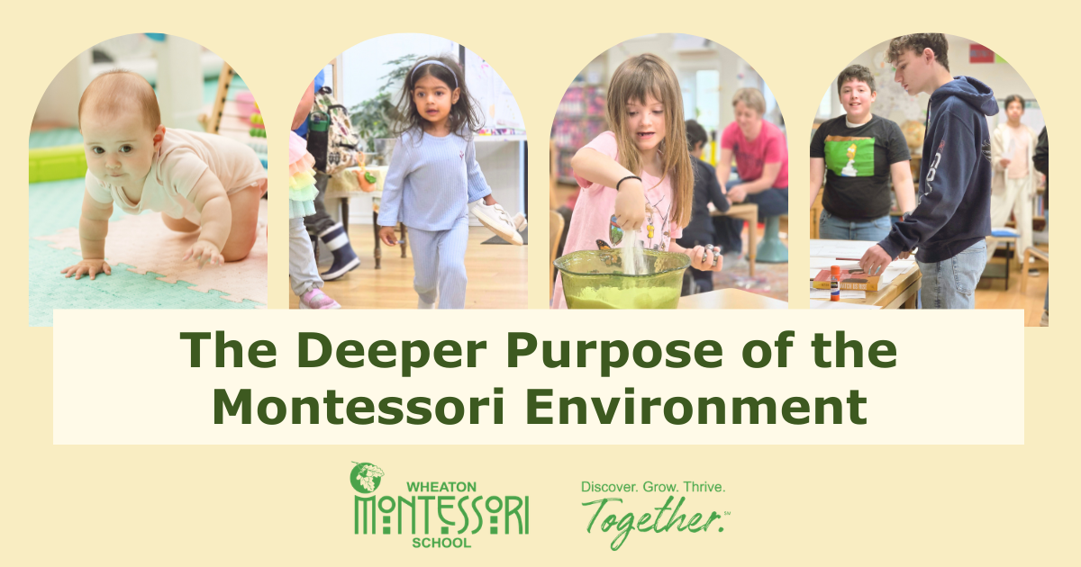 Montessori classroom collage with children and text: “The Deeper Purpose of the Montessori Environment.”