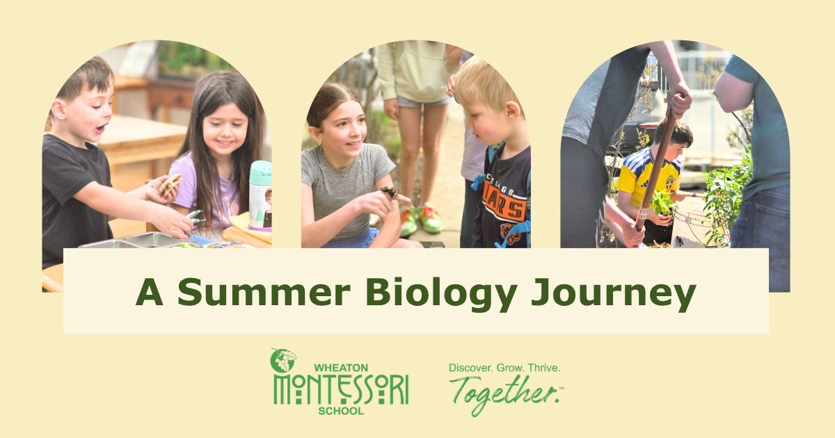Banner for “A Summer Biology Journey” with students outdoors and program logos on a pale yellow background